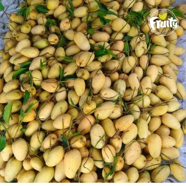 কাটিমন আম- Katimon aam - Image 3