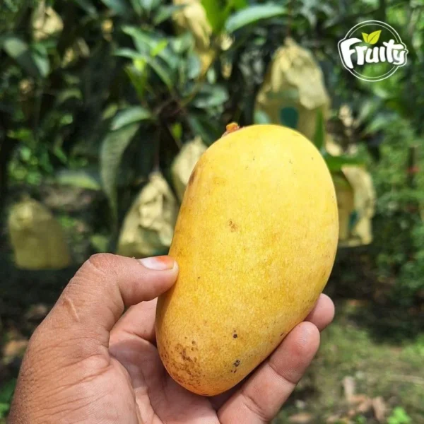 কাটিমন আম- Katimon aam